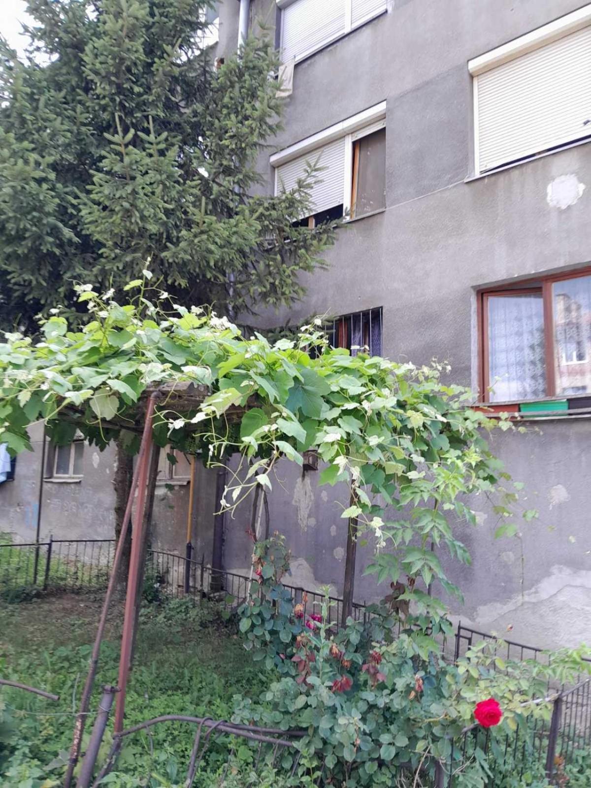 Apartment Comfy Free Parking *